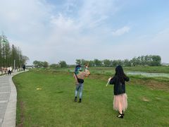 -瑶湖郊野森林公园