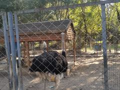 -长白岛森林公园