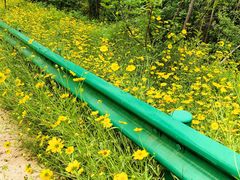 -青龙山国家森林公园