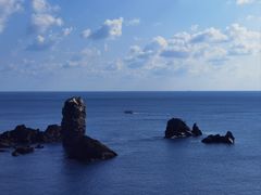 -涉地可支