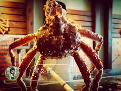 帝王蟹-蟹之国·精品蟹料理(极地店)