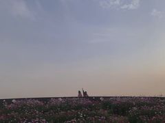 -花开海上生态园