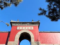 -泰山风景名胜区