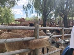 -鄂尔多斯野生动物园