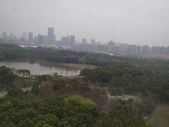 -AdD全日制餐厅(中谷花园酒店)