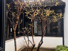 -绮园景区