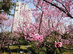 -沐仙湖湿地公园