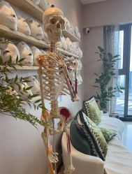 -颜和骨正&明星徒手小颜整骨