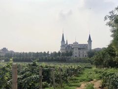 -北京张裕爱斐堡酒庄