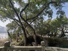 -江心屿景区