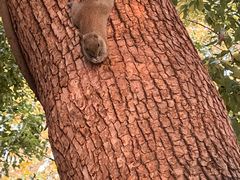 -西湖外事游船(湖滨二公园外事游船码头)