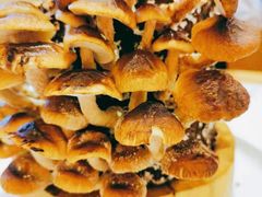 -幸福蔬·时尚蔬食(黄山湖公园店)