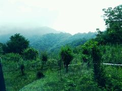 -洛阳白云山景区