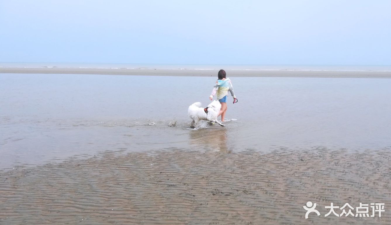 说走就走🌞拖家带狗🐶