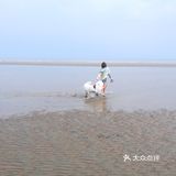 说走就走🌞拖家带狗🐶