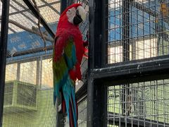 -北京野生动物园