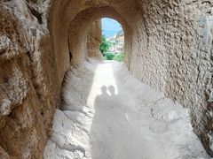 -元谋土林景区(物茂土林)