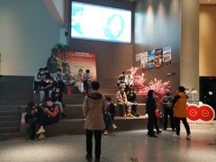 -深影国际影城(学院南路店CGS中国巨幕店)
