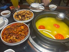 -志晖园圆子鸡·辣子鸡(阳光店)