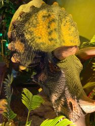 -恐龙探索乐园(磁器口店)