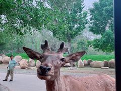 -北京野生动物园