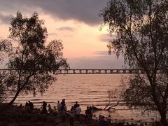 -宝安西湾红树林湿地公园