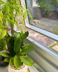 -初心はつ こころ日式美甲美睫沙龙