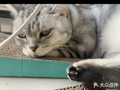 -平行世界·猫咖(首经贸店)