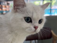 -贝利宠物医院·骨科·眼科·肿瘤转诊中心(南坪诊疗中心)