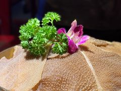 小龙坎毛肚-小龙坎火锅(全球旗舰店)