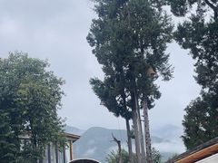 -云禾壹海景庄园餐厅