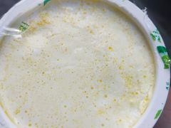 -德禄酸奶(莫家街店)