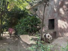 -成都动物园