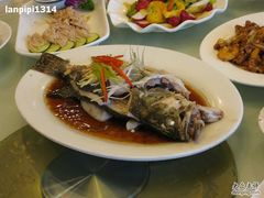 桂鱼-燕春楼(海河华鼎店)