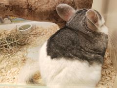 -龙猫仔乐园(惠福东路店)