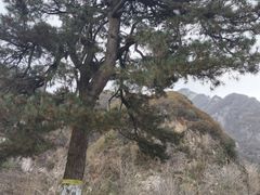 -秦岭终南山世界地质公园翠华山景区