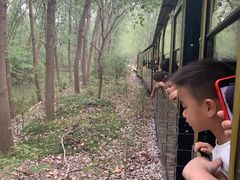 -合肥滨湖国家森林公园