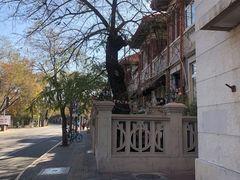 -天津五大道文化旅游区