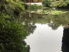 -郭庄茶室