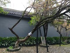 -湖南省立第一师范学校旧址
