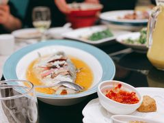 酒酿蒸鲥鱼-新南华大酒店(广中店)