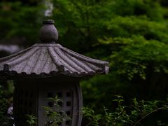 -虎跑公园