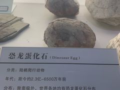 -中国第四纪冰川遗迹陈列馆