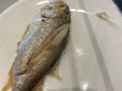 黄花鱼-华盛丰温州大排档(东三环南路店)