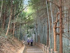 -敬亭山风景名胜区