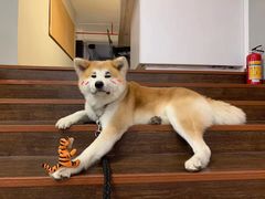 -YCHL Studios健身工作室(市二宫店)