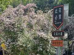 -老君堂公园
