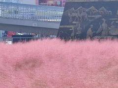 -BHG生活超市(安贞店)