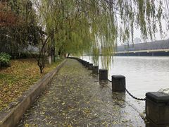 -河州春清真西北特色美食(虎踞路店)