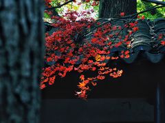 -常熟方塔园
